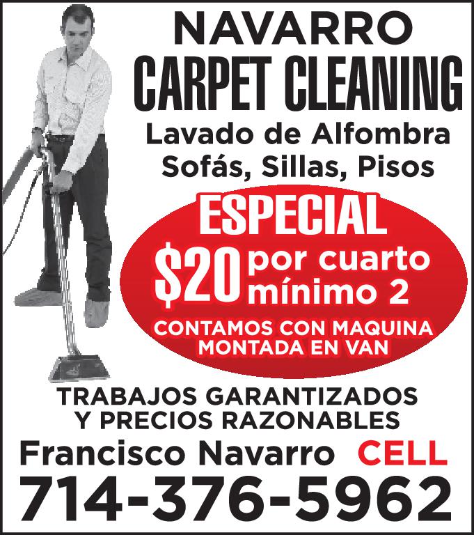NAVARRO C CLEANING