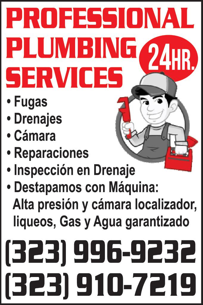 PROFESSIONAL PLUMBING SERVICES  24/7