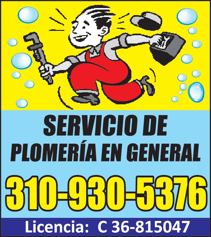 SERVICIO DE PLOMERÍA EN GENERAL 310-930-5376 Licencia 36-815047