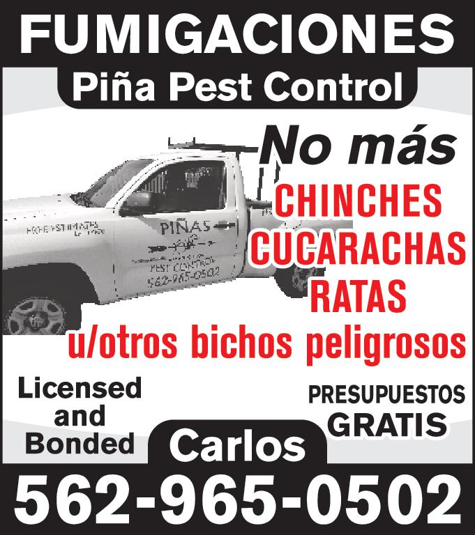 FUMIGACIONES Piña Pest Control FREE STIMATES Lr 170 PIÑAS PEST CONTRO 562-945-0502 No más ICHINCHES CUCARACHAS RATAS otros bichos peligrosos Licensed and Bonded Carlos PRESUPUESTOS GRATIS 562-965-0502